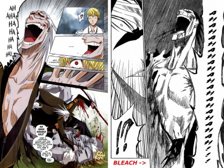 Bleach_Incarnate_1